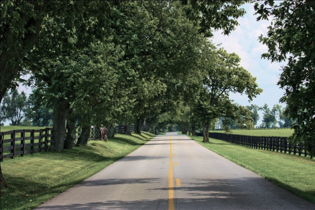 Country Road Path