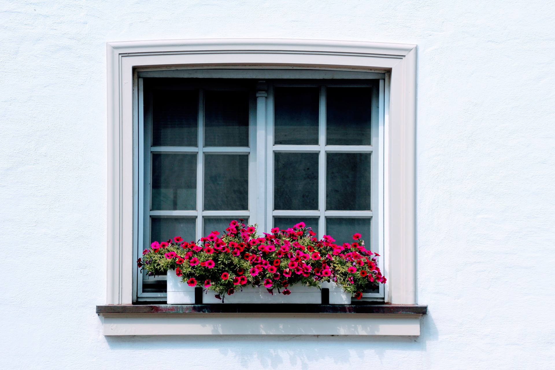 Windowbox Flowers